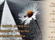 Premio Luigi d’Andrea 2011