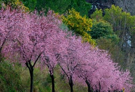 L’importante e’ avere un sogno…sempre…ovunque…e volerlo realizzare