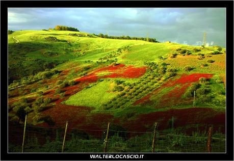 L’importante e’ avere un sogno…sempre…ovunque…e volerlo realizzare