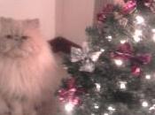 Christmas Tree!!