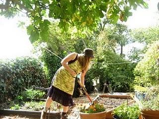 Calendario lavori del mese febbraio