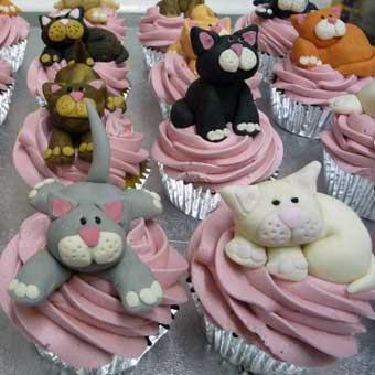 novelty pussy galore cupcakes