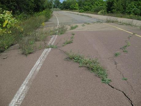 Progetto Survival Blog