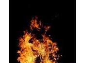 fuoco bosco