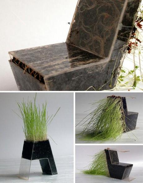 Mobili che crescono - Grow your own living furniture