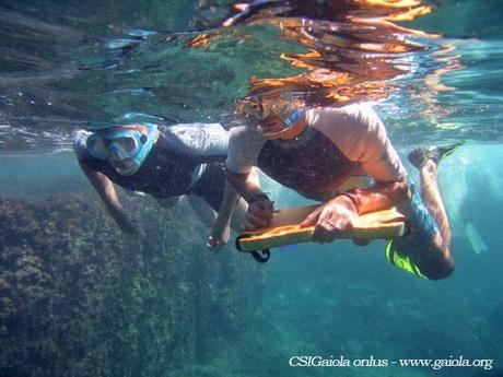 snorkeling gaiola