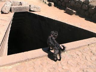 Archeologia e luoghi di energia: il pozzo sacro di Santa Cristina.