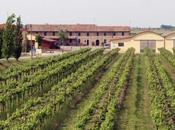 ottobre Comacchio (Fe) celebra anguilla vini sabbia