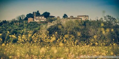 villa saletta, un borgo antico