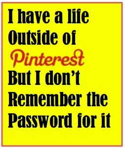 pinterest password