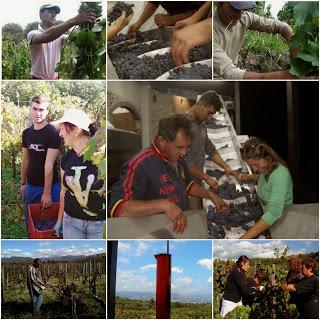 La nobiltà del lavoro, del vino. Buon primo maggio!