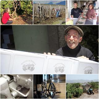 La nobiltà del lavoro, del vino. Buon primo maggio!