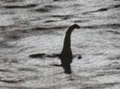 Nessie Morag, mostri laghi scozzesi