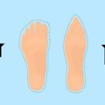 La forma dei tuoi piedi  e accanto, la forma che il tuo piede dovrebbe avere secondo i produttori di scarpe!
