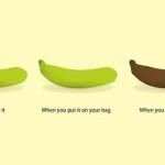Il ciclo di vita della tua banana! Dall'aspetto che ha il frutto non appena comprato fino a quando è arrivato il momento di mangiarlo.