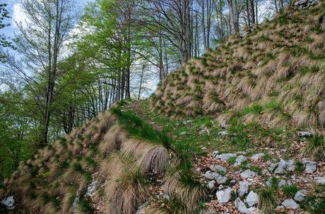 MONTE CAAL da Uccea