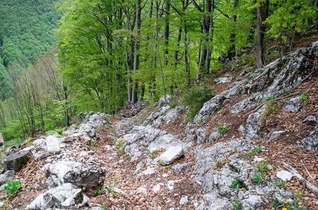 MONTE CAAL da Uccea