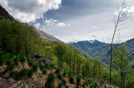 MONTE CAAL da Uccea