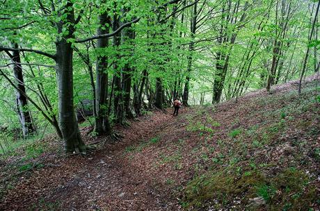 MONTE CAAL da Uccea