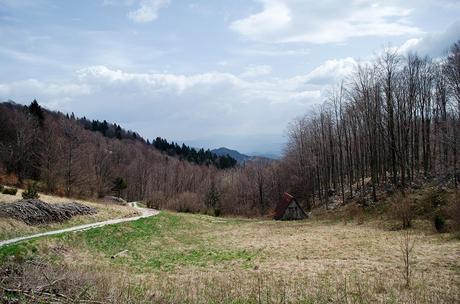 MRZLI VRH: camminando sul Mataiur