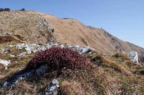 ANELLO DEL MONTE CUARNAN