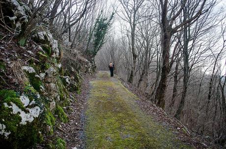 ANELLO DI CIMA PALA: la Strada di Mont