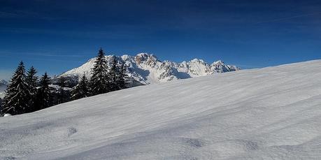 IL MAGICO BOSCO DEL SASSO GRIGNO