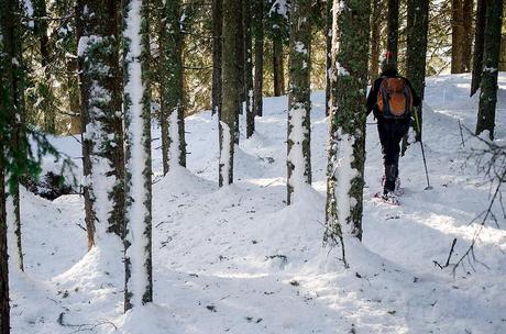 IL MAGICO BOSCO DEL SASSO GRIGNO