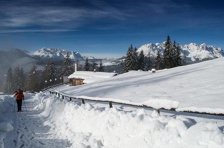 IL MAGICO BOSCO DEL SASSO GRIGNO