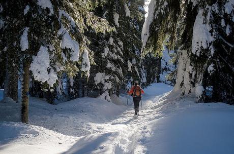 IL MAGICO BOSCO DEL SASSO GRIGNO