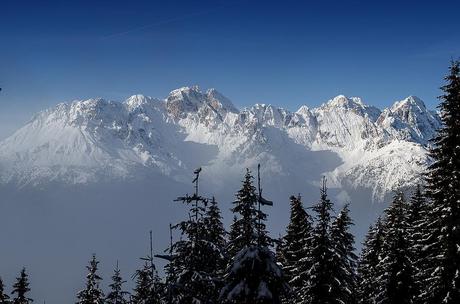 IL MAGICO BOSCO DEL SASSO GRIGNO