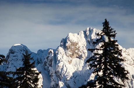 IL MAGICO BOSCO DEL SASSO GRIGNO