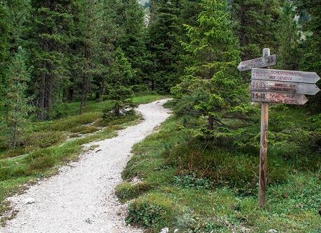 SUI SENTIERI DELLE ODLE : OBERER HERRENSTEIG