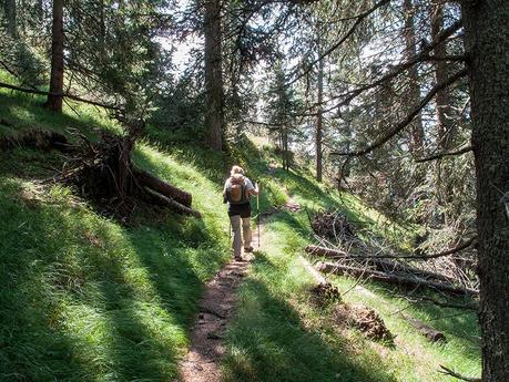 SUI SENTIERI DELLE ODLE : OBERER HERRENSTEIG