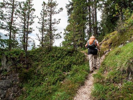 SUI SENTIERI DELLE ODLE : OBERER HERRENSTEIG