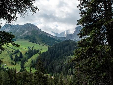 SUI SENTIERI DELLE ODLE : OBERER HERRENSTEIG