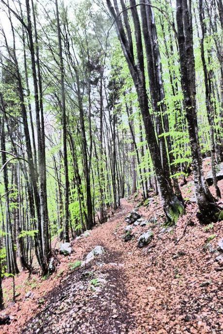 Trekking dell' 1 maggio, 2014