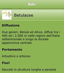 Meteo pollini una applicazione utile per prevenire l'allergia.