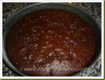 Ciambella al cioccocaffè con gocce di cioccolato (5)