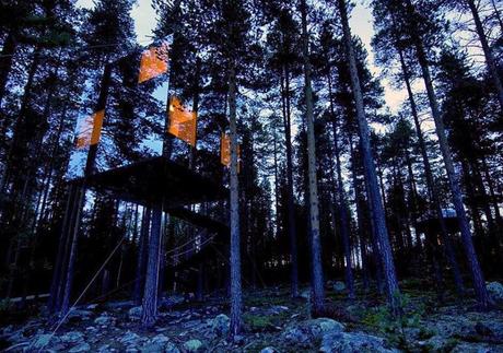 Tree Hotel