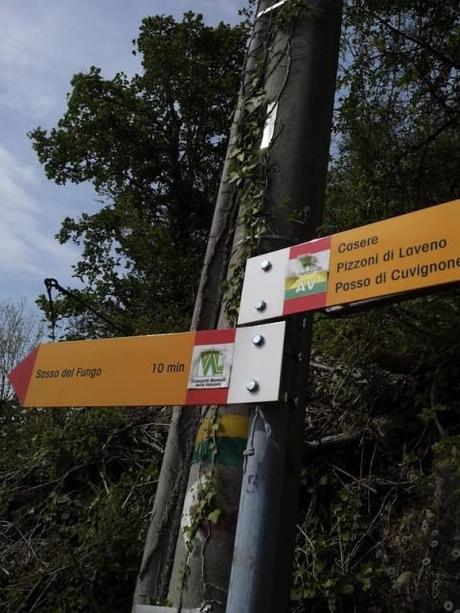 Trekking - Laveno, Italia