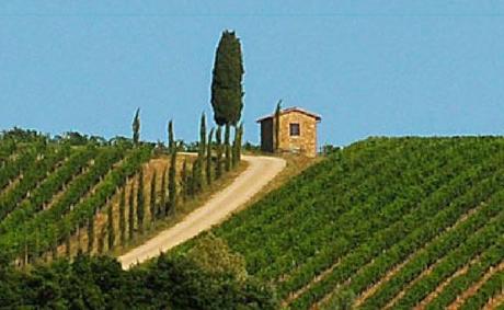 Nel cuore della Toscana Chianti Melini