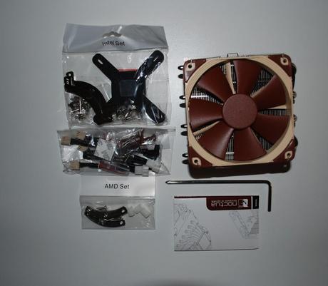 noctua (2)