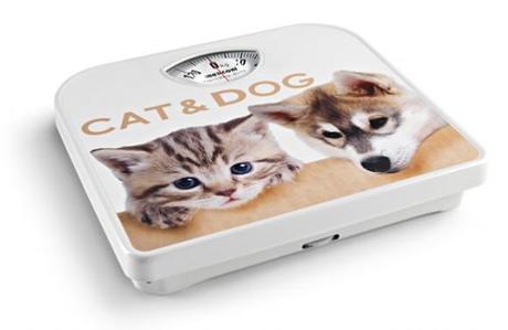 Cat Dog bilancia Meliconi