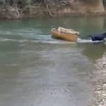 Labrador salva due cani dalla canoa alla deriva (video)