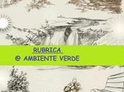 Rubrica Verde maggio: favola adulti "L'uomo piantava alberi"