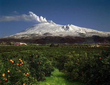 Territorio origine_Etna e agrumeti_Oranfrizer