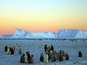 "Antartide: sciogliesse Bacino Wilkes, Livello Mare aumenterebbe Metri"