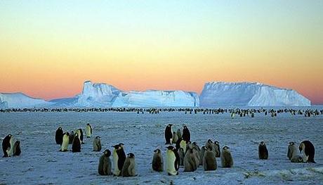 Antartide: se si sciogliesse il Bacino di Wilkes, il Livello del Mare aumenterebbe di 4 Metri