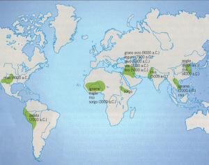 diffusione dei prodotti agricoli nel neolitico